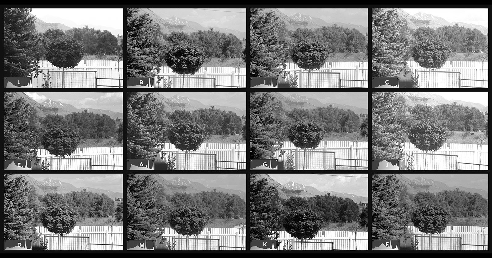 Comparison of different ISO black and white films
